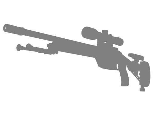 SSG08